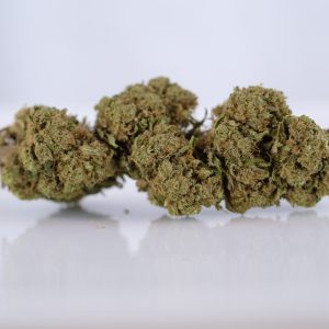 Blueberry Dream - Outdoor