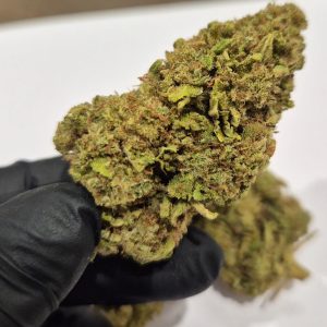Fleur de CBD Runtz nouvelle récolte autofloraison - Jungle Grower